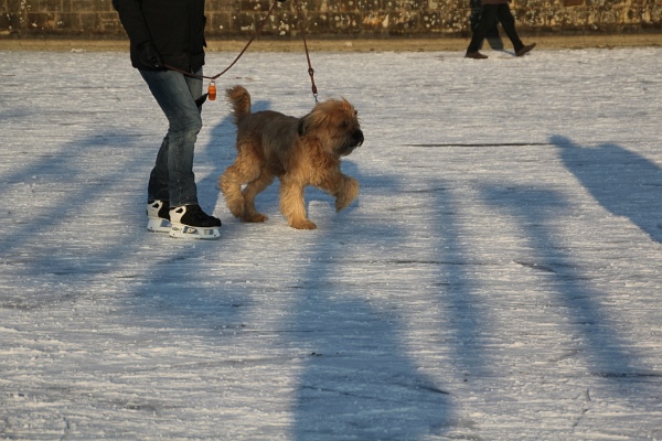 Eiszeit   014.jpg